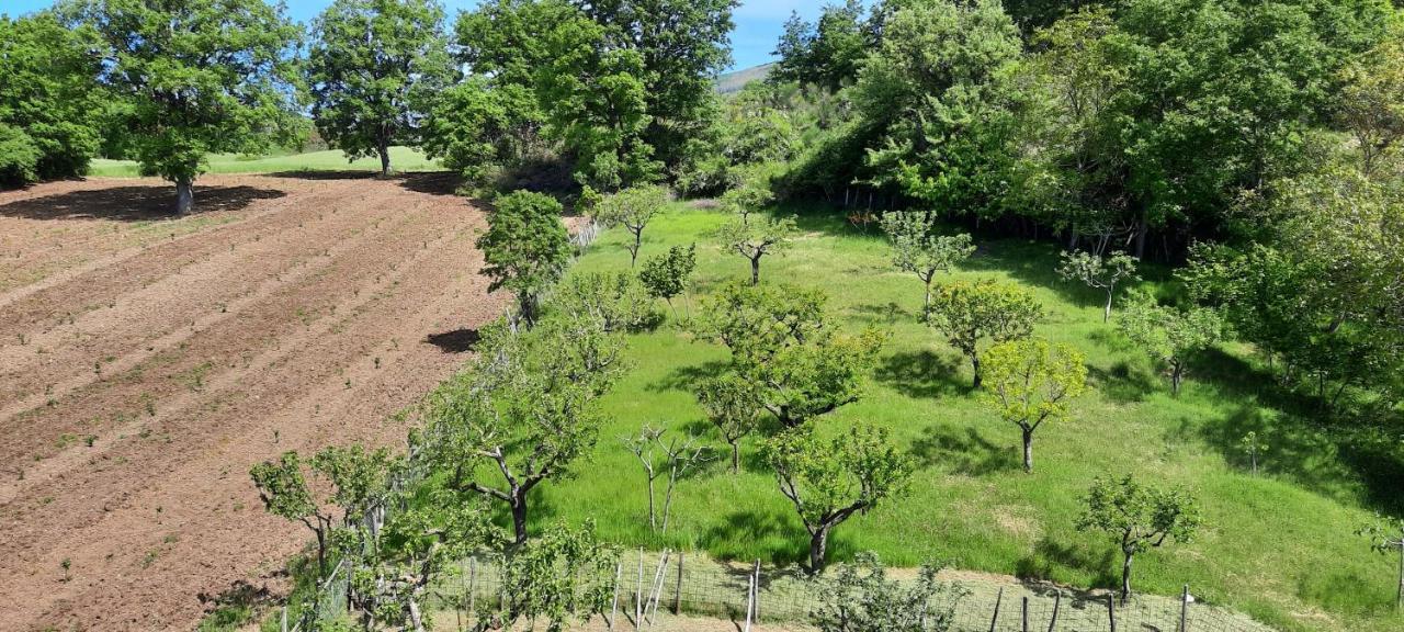 Apartament Terrazza Sul Cielo Bella Zewnętrze zdjęcie